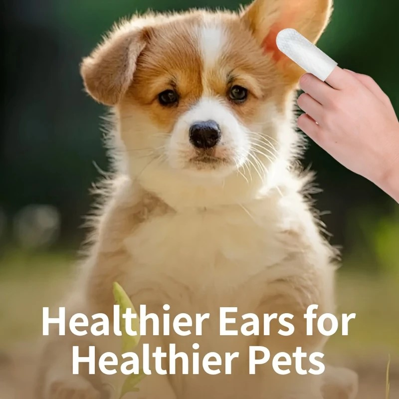 Disposable Dental Finger Wipes For Pets
