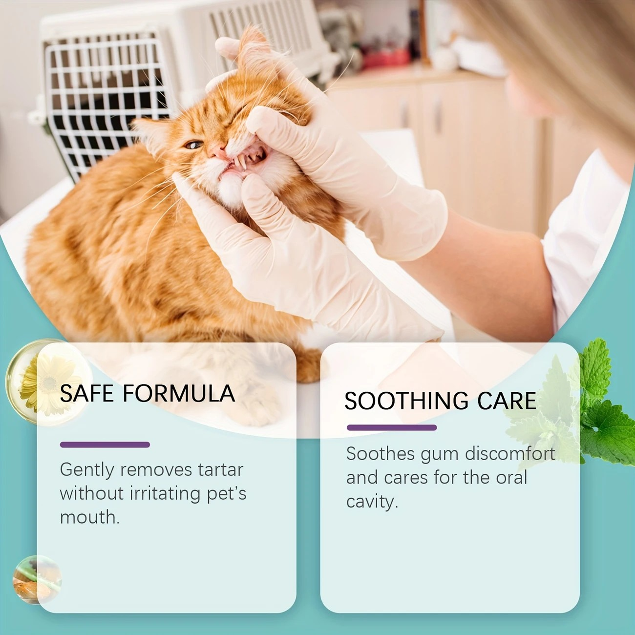Disposable Dental Finger Wipes For Pets